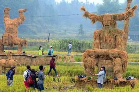 鄉村振興，請帶上設計的思維