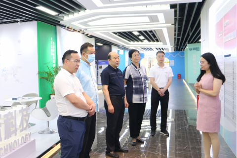 中原工業設計城陪同河南省工信廳副廳長郝敬紅一行前往深圳大灣區進行參觀考察