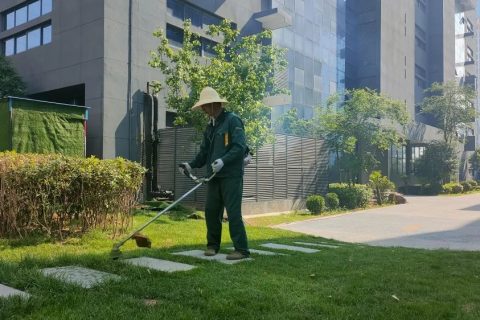 感受夏日，體驗涼爽，走進這座創業之城！